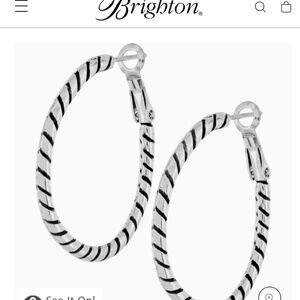 Twist Oval Hoop Charm Earrings